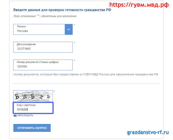 Проверка готовности гражданства РФ онлайн