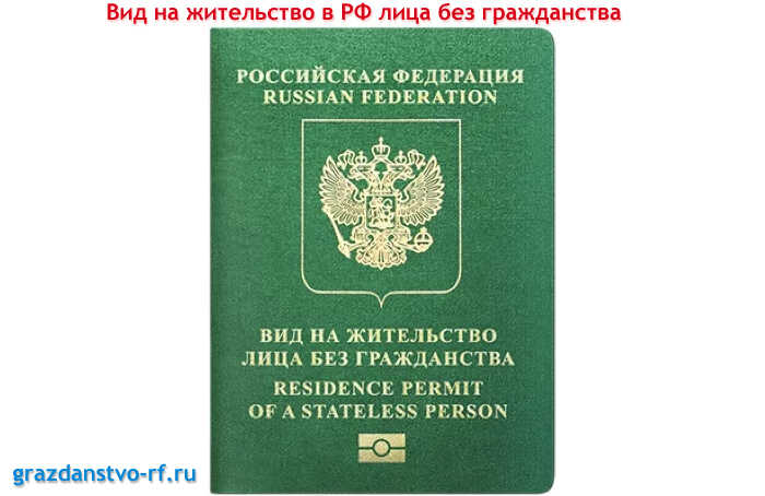 Как выглядит вид на жительство в РФ лица без гражданства